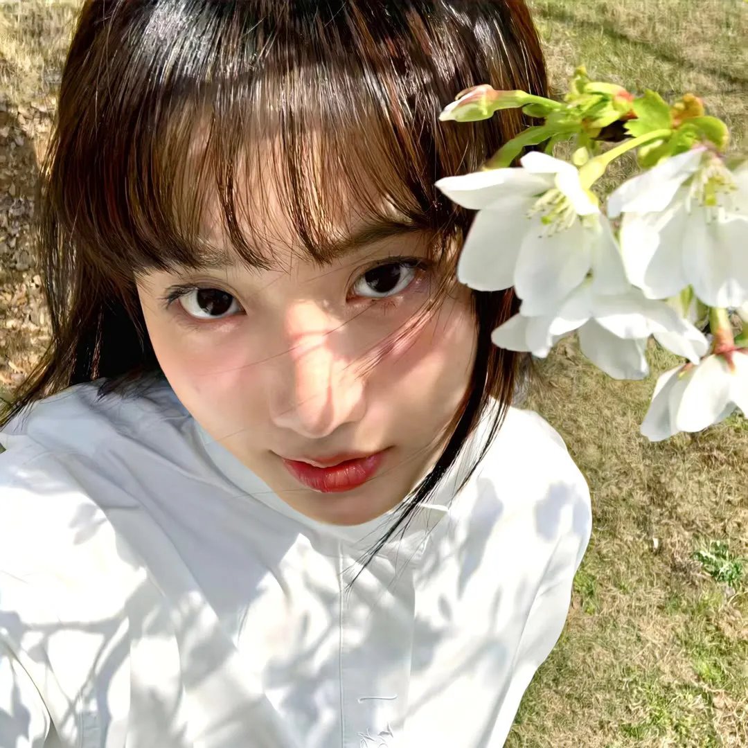 完美物质